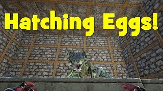 Ark  Vanilla Incubating  Hatching room  Hatching Wyverns [upl. by Magulac]