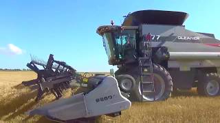 2017 Wheat Harvest near Preston Kansas with 3 Gleaner Combines and a Versatile Delta Track [upl. by Anid]