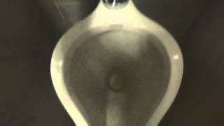 Bathroom Tour Beautiful Standard Madstone Urinals with a Modern Toto Toilet [upl. by Doss353]