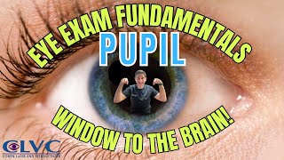 Pupillary light reflex  Highyield neuroophthalmology review [upl. by Wilfrid]