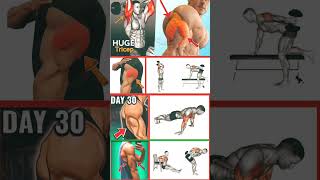 Full Triceps Workout triseps workout motivation youtubeshorts [upl. by Milone189]