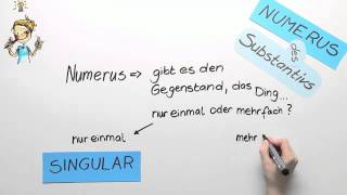 Der Numerus des Substantivs  Deutsch  Grammatik [upl. by Anida]