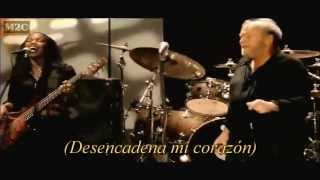 Joe Cocker  Unchain My Heart live subtitulado en español [upl. by Strawn]