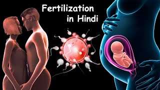 Fertilization  Pregnancy  Baby Delivery [upl. by Zelda28]