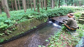 山道脇の渇水した静かな河川の落ち込みにて [upl. by Cerallua]