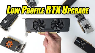 This New Low Profile GPU Might Just Be What Your SFF PC Needed [upl. by Dahs675]