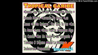 Tropical Caribe Mix Burromix [upl. by Pinkham]