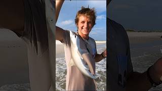 SHARK CAUGHT FROM THE BEACH  SharkWeek  Navarre Beach Florida  Shark Fishing  Fishing [upl. by Moffit]