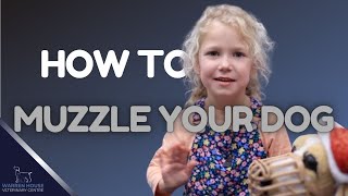 Cutest Trainer Ever Muzzle Training Tips [upl. by Micki]