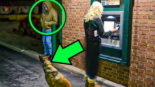 Man Attacks Woman At ATM – Unaware That Her Dog Is A Cop [upl. by Henri908]