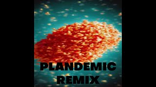 Plandemic Remix [upl. by Aikkan962]