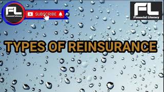 Types of Reinsurance Hindi [upl. by Ajnat]