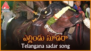 Yellindu Sudara Telangana Song  Sadar Special  Telugu Private Album  Amulya DJ Songs [upl. by Anilehcim]