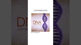 DNA And Genes and chromatin material and chromosomes science [upl. by Armitage]