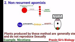 Apomixis  Recurrent apomixis  Non recurrent apomixis  Adventive embryony  Pravin Sirs Biology [upl. by Allenotna]