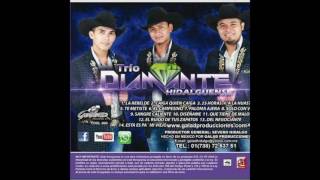 EL CAMPESINO TRIO DIAMANTE HIDALGUENSE [upl. by Tull]