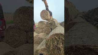 Farm hay rolling process Good tools and machinery make work easy [upl. by Aeki905]