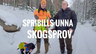 Skogsprov Spribills Unna [upl. by Sanders213]