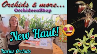 Orchids and more Orchid Haul  Unboxing video [upl. by Viviane]