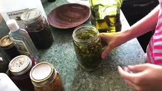 Part 2 How To Make Infused Oil With Fresh Or Dried HerbsOverview Of Tinctures Oils And Infusions [upl. by Sofer]