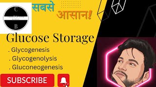 Glucose Storage  Glycogenesis  Glycogeolysis  Gluconeogenesis  inorganicchemistry uok msc [upl. by Hourihan]