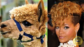 10 Hilarious Animals That Look COMPLETELY Like Humans [upl. by Odnesor]