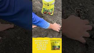 How to Plant Collard Greens coopgro organic [upl. by Sheehan422]