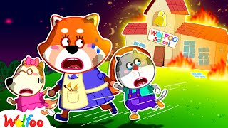 Run School is Burning  Wolfoo Learns Safety Tips  Fire Safety Cartoon 🤩 Wolfoo Kids Cartoon [upl. by Neleag934]