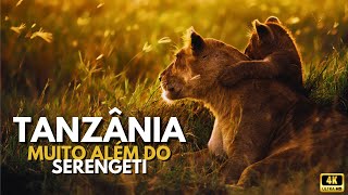 Tanzânia Muito Além do Serengeti animals wildlife documentary safari [upl. by Eixor170]