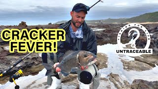 Musselcracker FEVER  East Coast fishing Four Seasons with location [upl. by Ludwog]