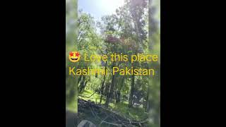 The Most Beautiful Place I Have Ever Seen Kashmir Travel Vlog [upl. by Ylloh628]