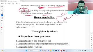 Hemoglobin synthesis and metabolism  Biochemistry of Hematology [upl. by Naeroled243]