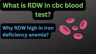 what is RDW in blood test  CBC blood test  why RDW increase in iron deficiency anemia rdw cbc [upl. by Darnoc]