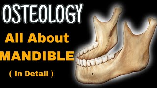 Human Osteology  MANDIBLE  Lecture  MedLearn1014 [upl. by Flyn]