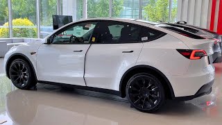 2024 Tesla Model Y indepth Walkaround [upl. by Nnaasil232]