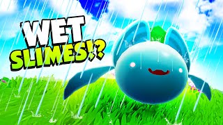 New WEATHER UPDATE Brings Storms and Thunder To Slime Rancher 2 [upl. by Susy566]