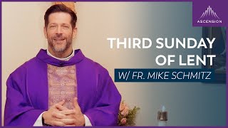 Third Sunday of Lent  Mass with Fr Mike Schmitz [upl. by Magnolia]