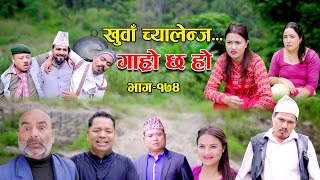 खुवा चायलेंज II Garo Chha Ho II Episode 174 II Oct 30 2023 II Begam Nepali II Riyasha Dahal [upl. by Alejandrina]