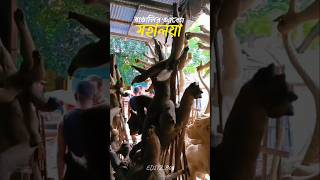 শুভ মহালয়া সকলকে🕉️❤️🙏  দূর্গা পূজা 2024😃✨❤️  shorts viral assam bijni mayalaya durgapuja [upl. by Fadden]