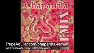 Pepe Aguilar  Chaparrita Sonidero Nacional Remix [upl. by Han]