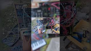 Update from Down Under Aug 2024 1 modularmusic [upl. by Ariek495]