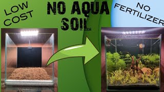 Low tech aquascape tank NO CO2 NO Fertilizer NO Aquasoil [upl. by Akenet]