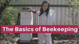 Beekeeping for beginners The absolute basics [upl. by Cathleen]