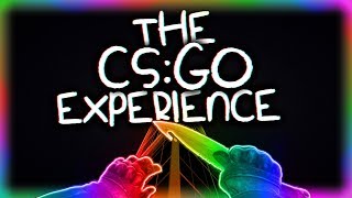 THE CSGO EXPERIENCE [upl. by Terle590]