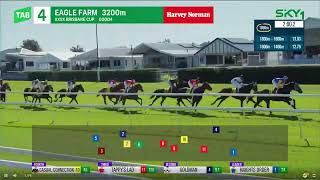 Brisbane Cup 2024  ALEGRON Qlty G2 Group 2 Eagle Farm 15 June [upl. by Nine]