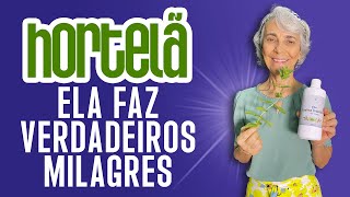 Hortelã mais que um tempero ajuda na síndrome do intestino irritável [upl. by Ydnyc]