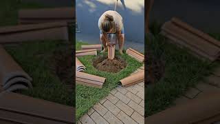 SOBROU TELHAS😮 diy garden gardening decora paisagismo [upl. by Petulia]