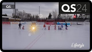 Sterne auf dem Eisfeld  Schlittschuhclub Wallisellen [upl. by Enirual]