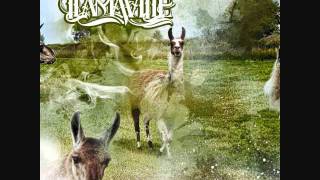 Green Llamas  Branded Prod by Dibiae [upl. by Hasina341]