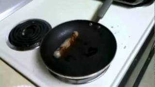 Sausage Cooking Itself [upl. by Parent323]